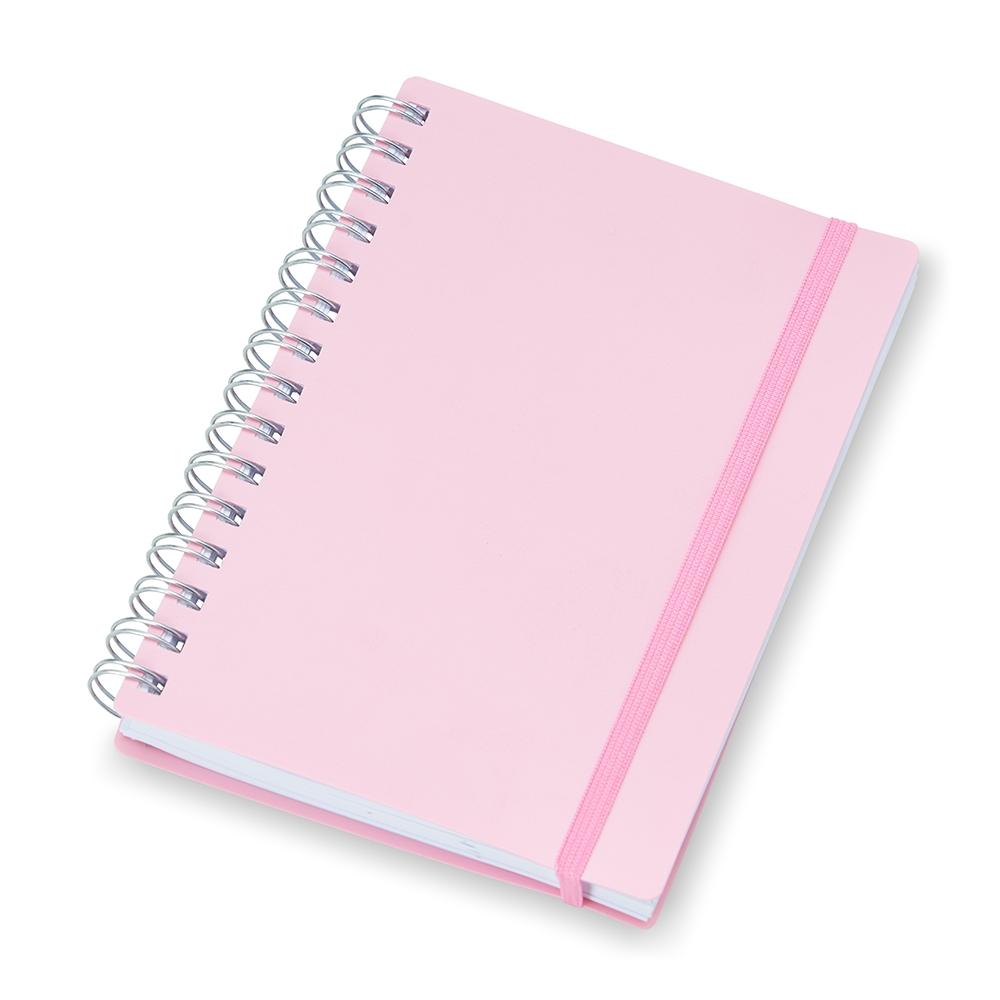 Agenda Diária 2023