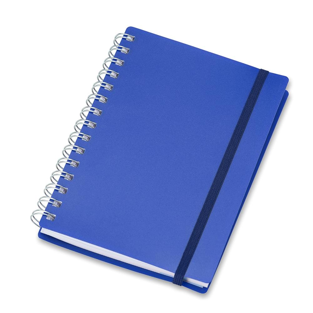 Agenda Diária 2023